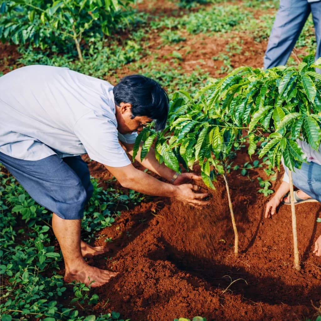 my-father-with-coffe